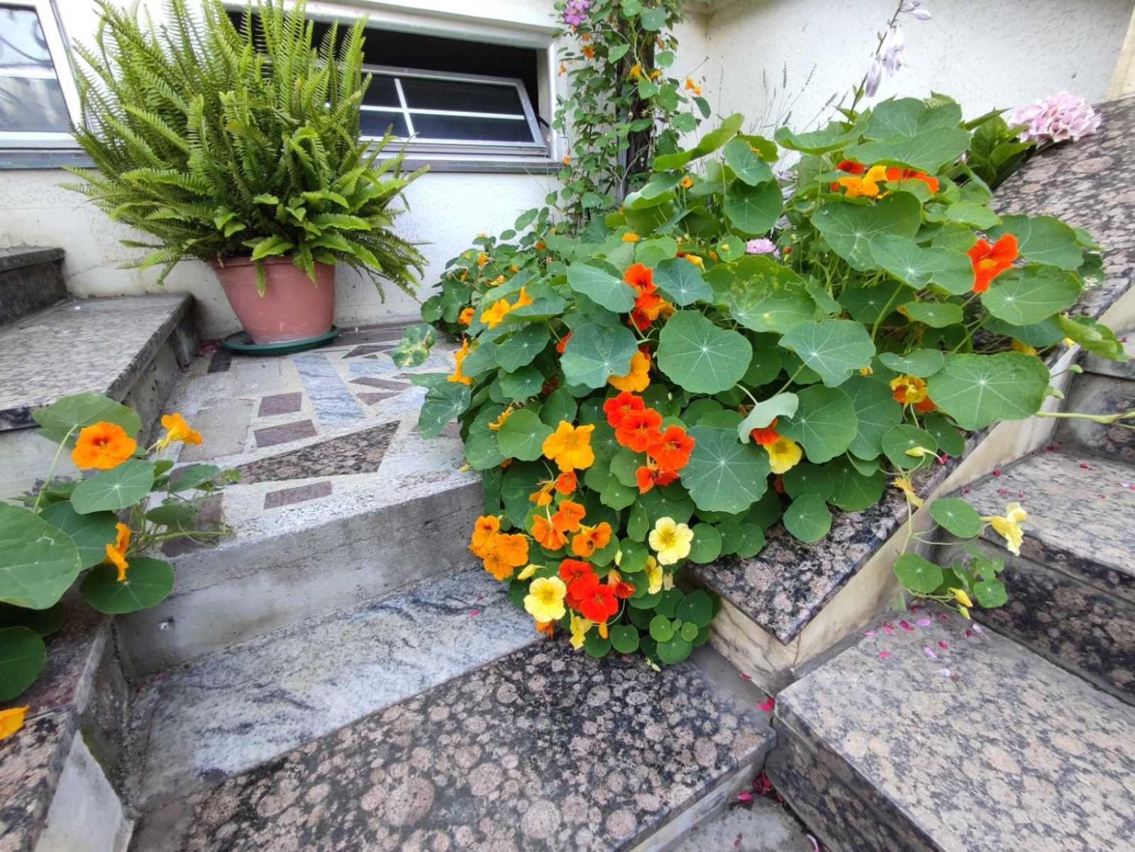Vila Sentic รานเย ภายนอก รูปภาพ